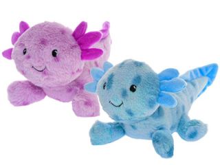 Obrázek z Axolotl plyš 25cm, 2dr 